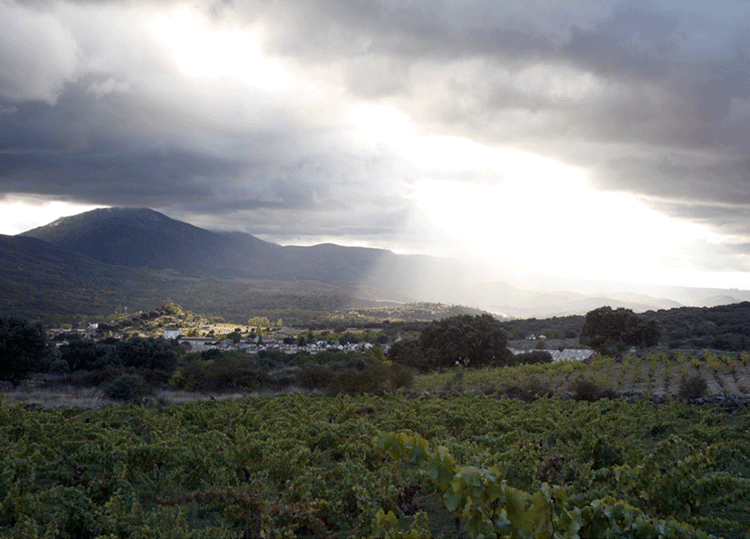 View of Navaluenga from the vineyards