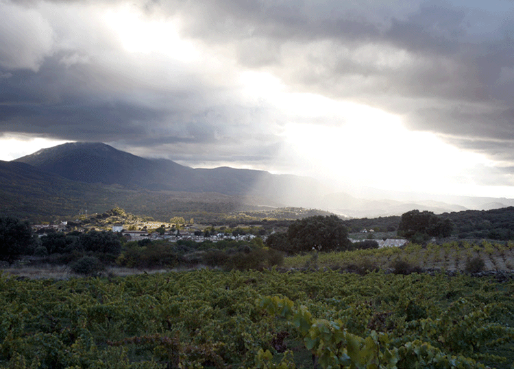 Udsigt over Navaluenga fra vinmarkerne