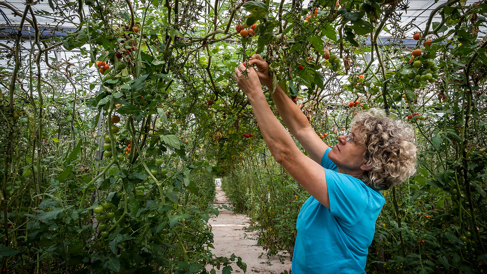 Lola grows sustainable tomatoes and peppers in the Plastic Sea in Almería