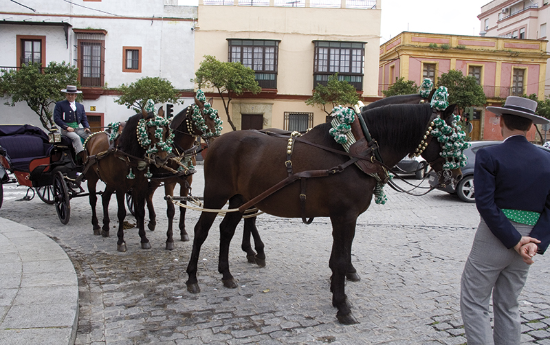 Hestevognene fra Den Kongelige Andalusiske Rideskole er en vigtig del af bybilledet i Jerez. Foto: Hanne Olsen