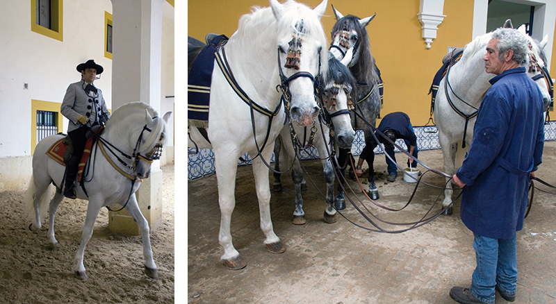 The Andalusian Riding School - backstage. Photo: Hanne Olsen