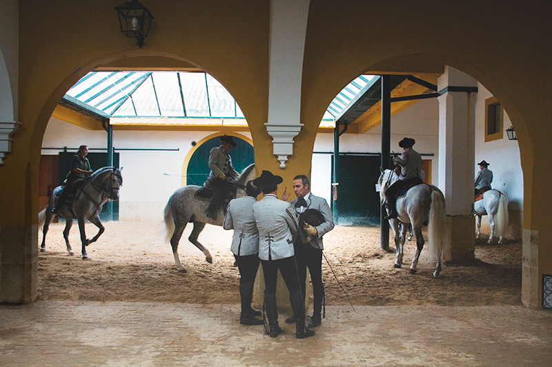Den Kongelige Andalusiske Rideskole. Foto: Hanne Olsen