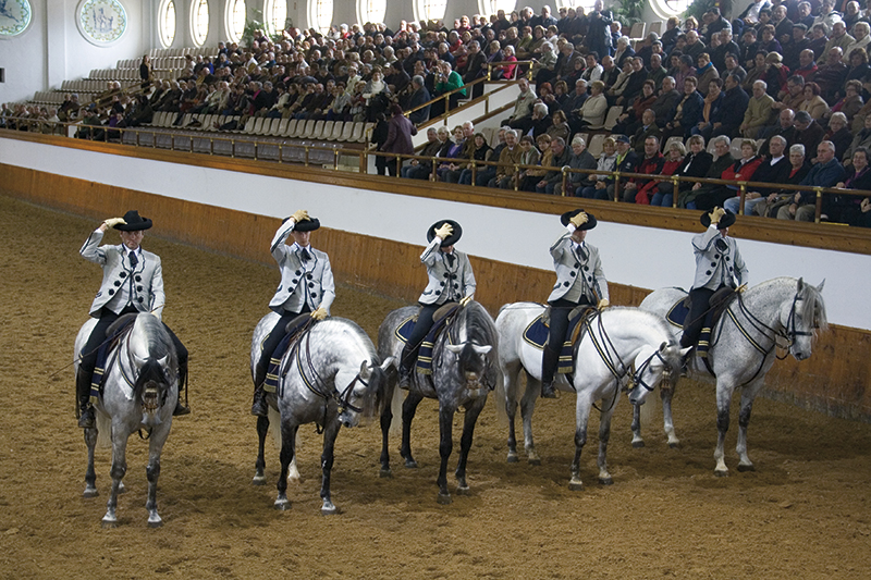 Den Andalusiske Rideskole - show. Foto: Hanne Olsen