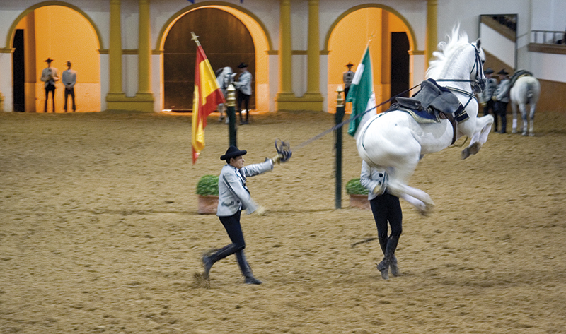 Hesteshow i Jerez de la Frontera: Oplev de andalusiske heste danse