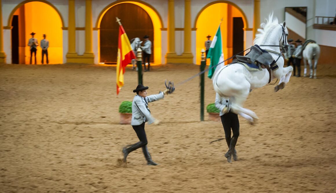 Til dans med de andalusiske heste - rideskolen i Jerez de la Frontera, Andalusien, Spanien