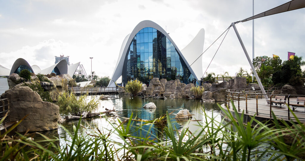 Guide Valencia - Det oceanografiske akvarium