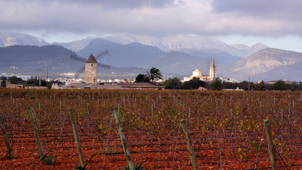 The wine village Binissalem in Mallorca - Photo: AndrusV