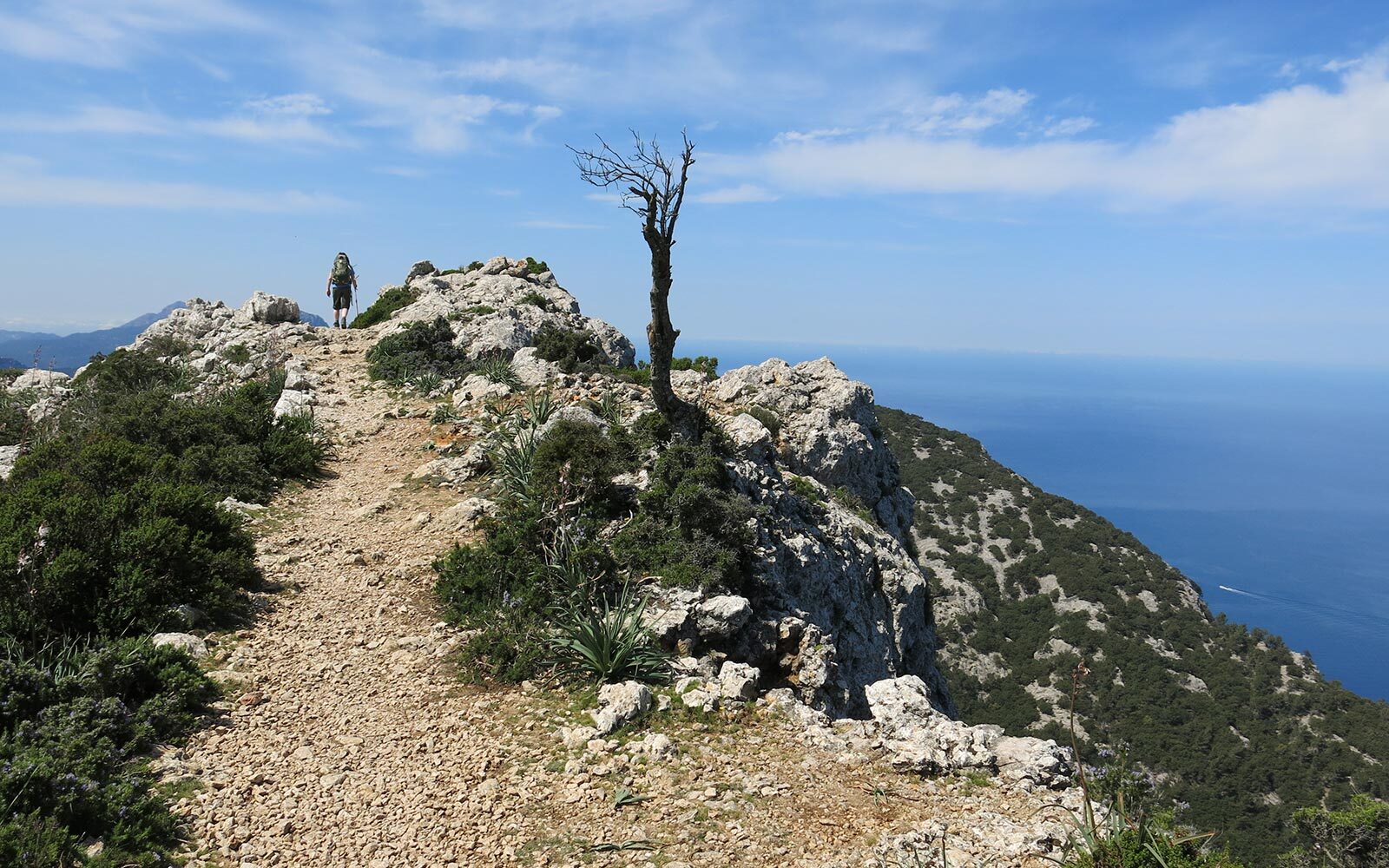 Vandretur i Mallorcas Tramuntana-bjerge