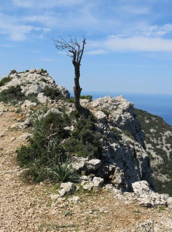 Vandretur i Mallorcas Tramuntana-bjerge