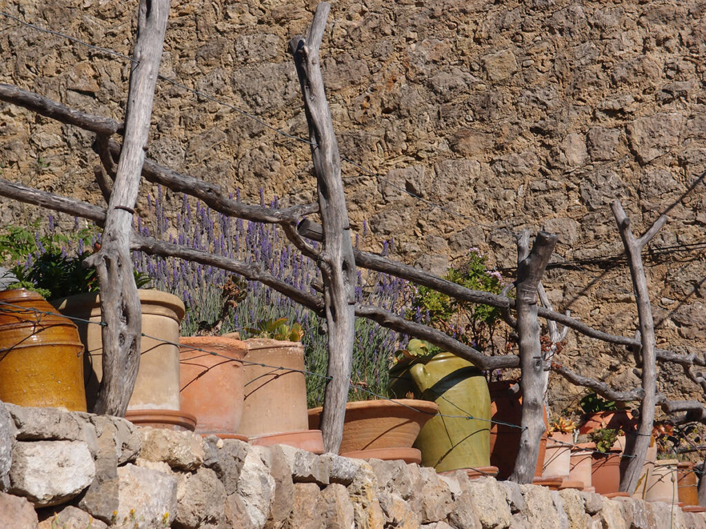 Senderismo en la hermosa Serra de Tramuntana de Mallorca - lavanda en la naturaleza