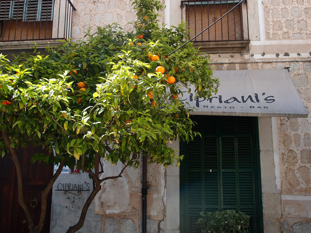 Senderismo en la Serra de Tramuntana de Mallorca