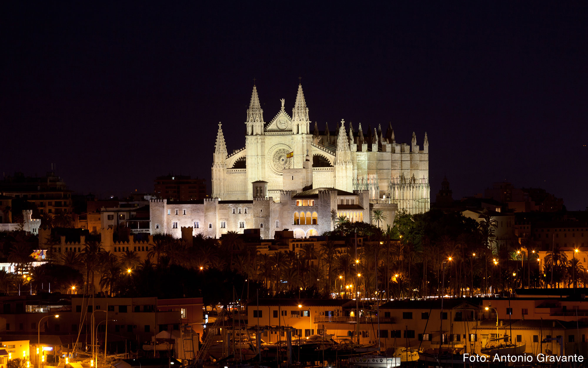 Katedralen La Seu i Palma de Mallorca - foto Antonio Gravante