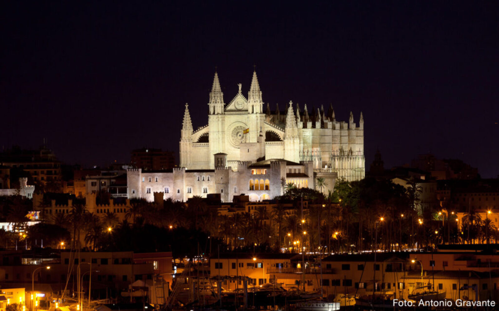 Katedralen La Seu i Palma de Mallorca - Foto Antonio Gravante