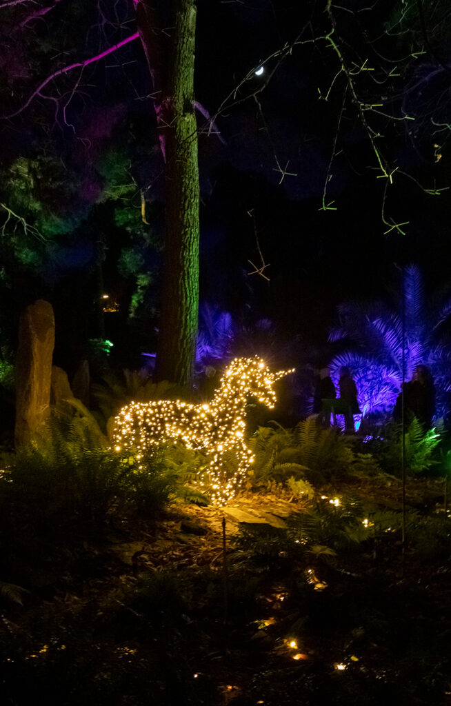 Christmas in Madrid - magical Christmas lights in the Botanical Garden