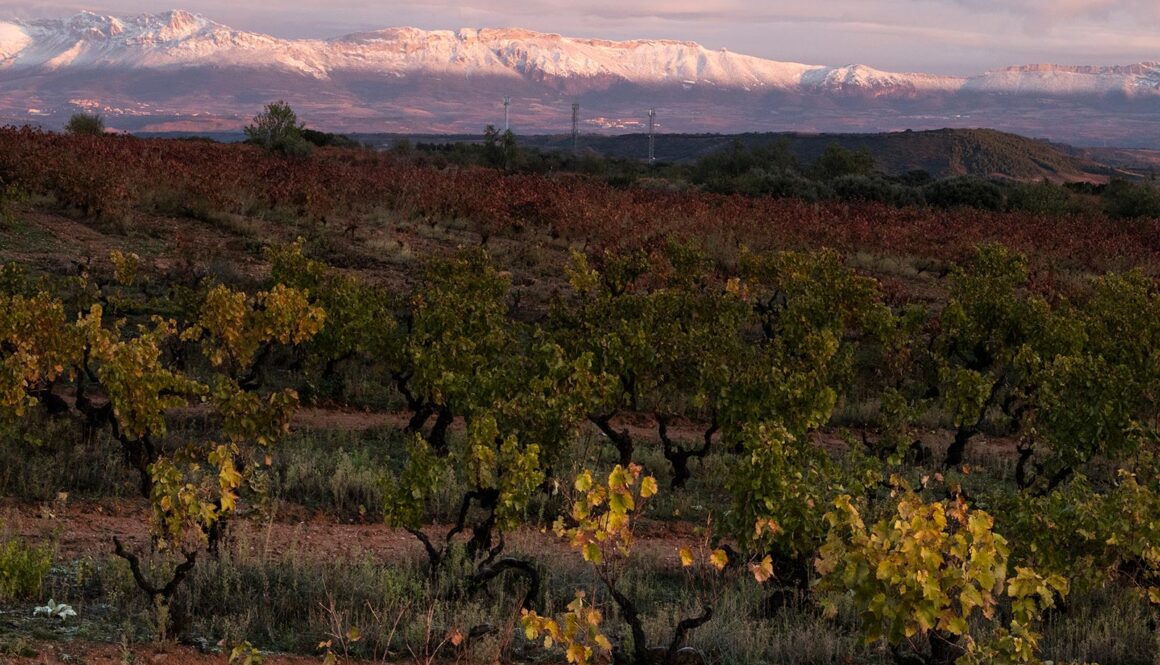 De tusinde farvers vinregion: 6 efterårsoplevelser i La Rioja