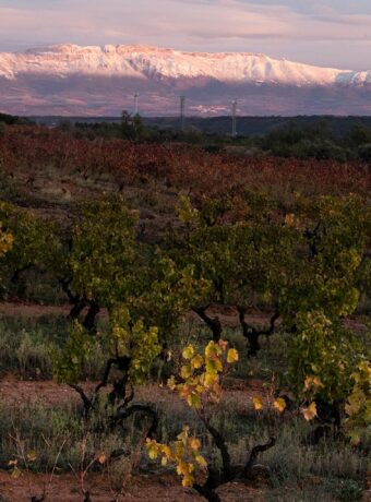 Vinmarker_La_Rioja