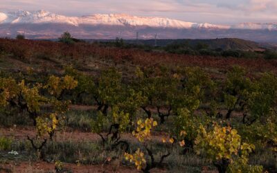 La región vinícola de los mil colores: 6 experiencias otoñales en La Rioja