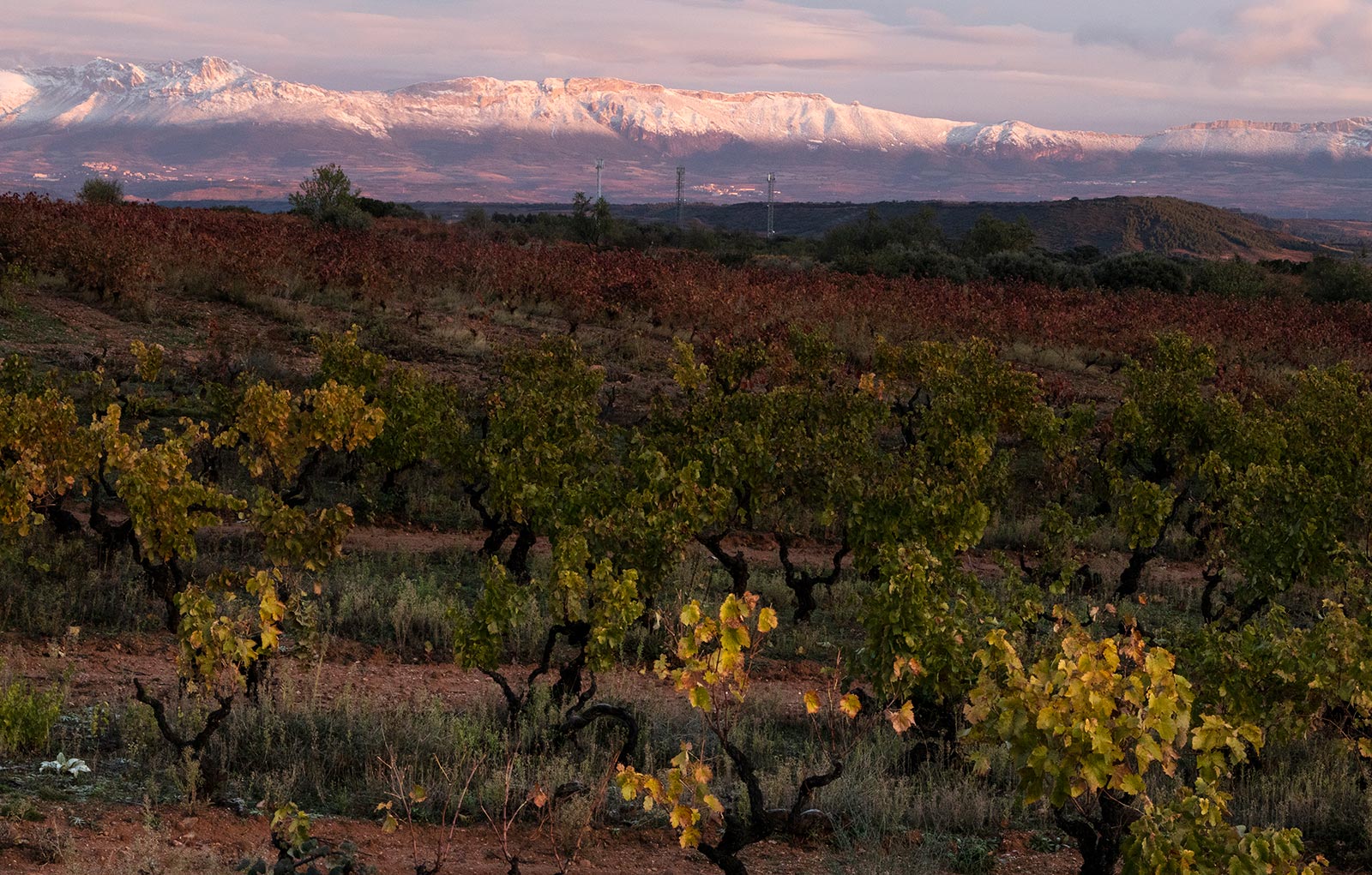 Vinmarker_La_Rioja