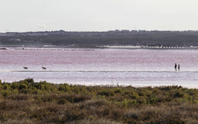 El mayor lago salado de Europa es de color rosa y está situado en Torrevieja