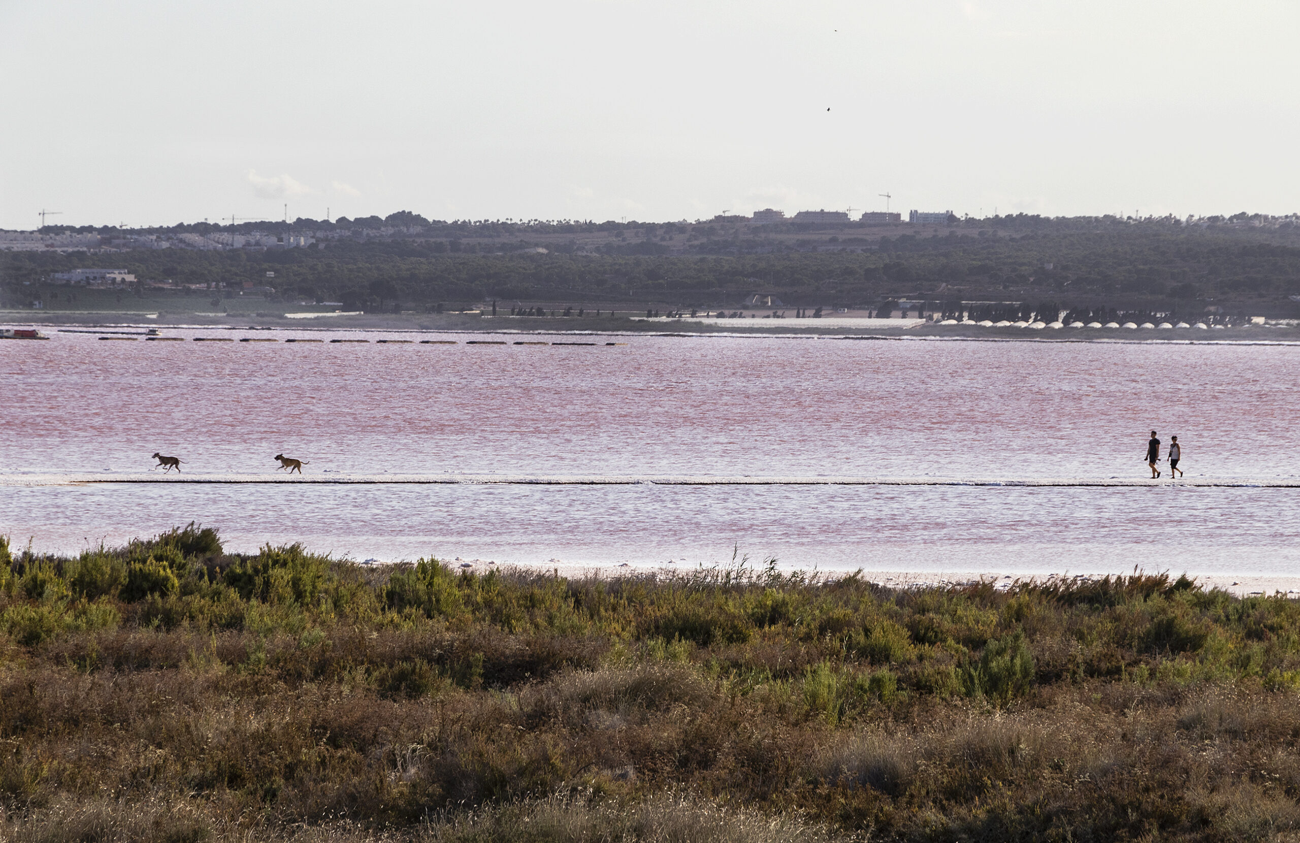 The pink lake in Torrevieja has healing properties