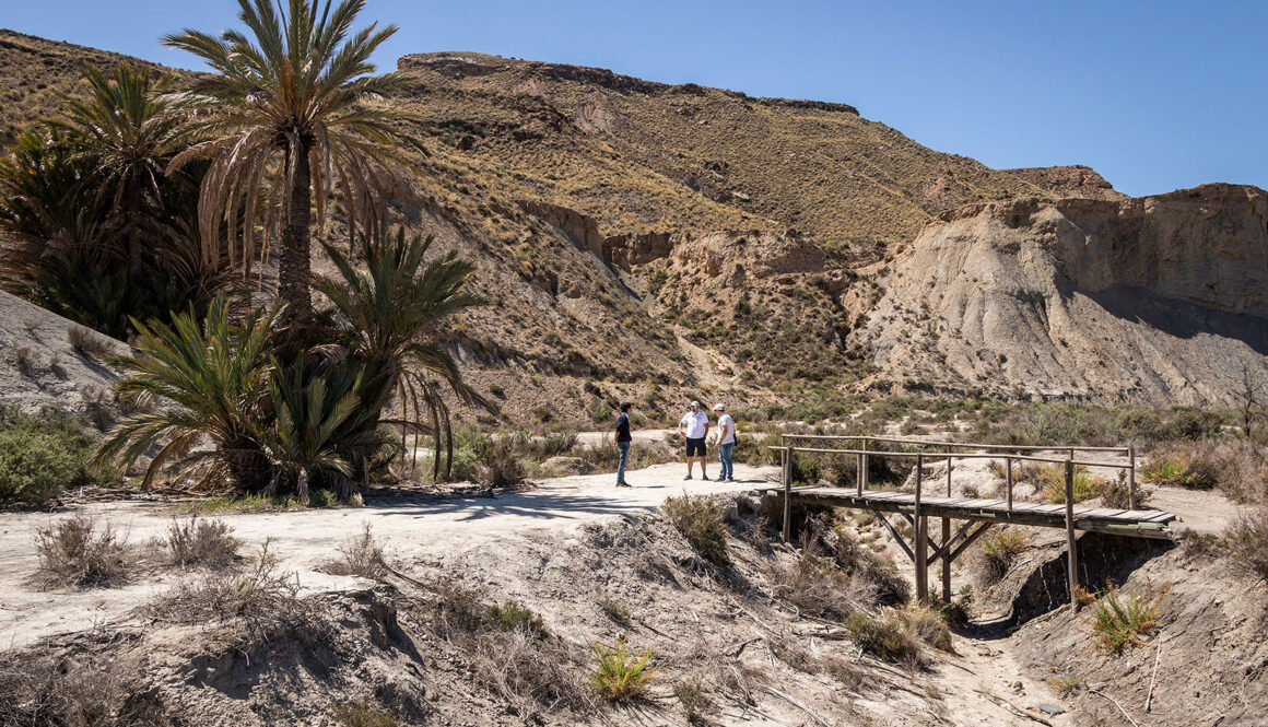 Lawrence of Arabia-oasen i Tabernas Almiera