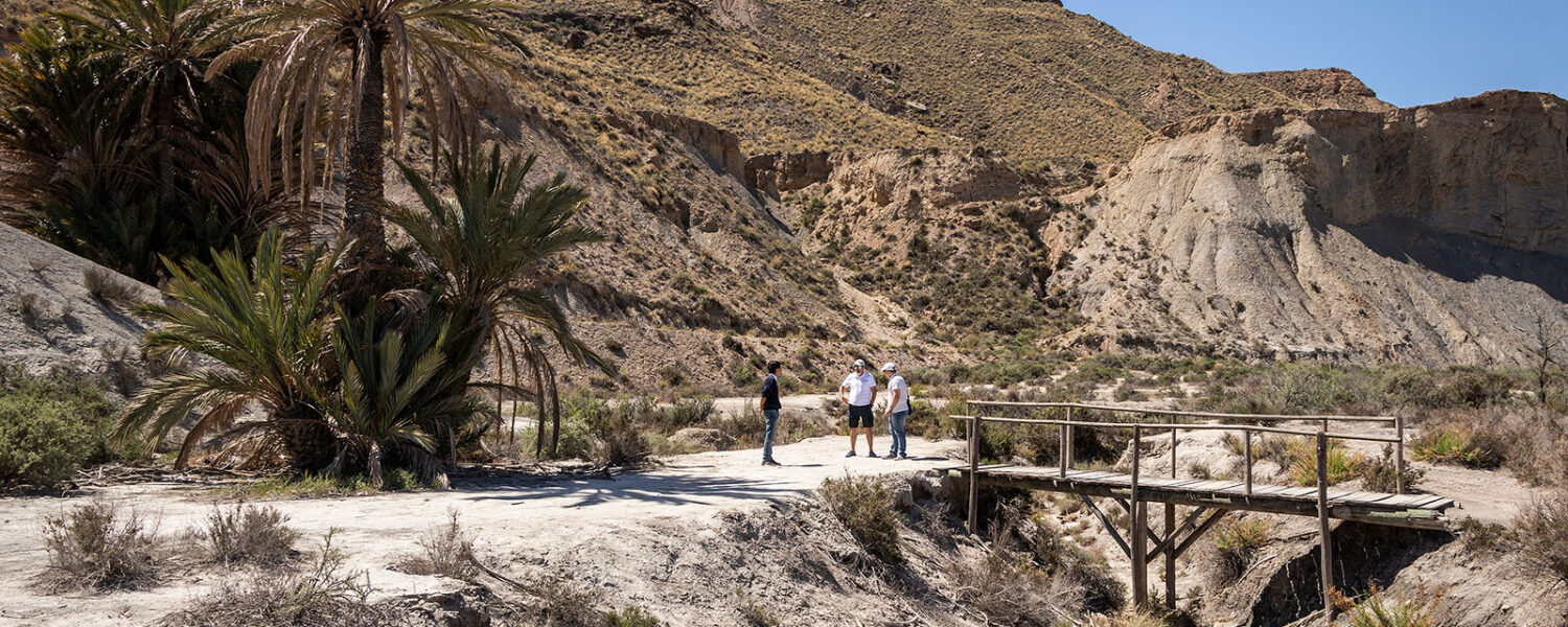 Lawrence of Arabia-oasen i Tabernas Almiera