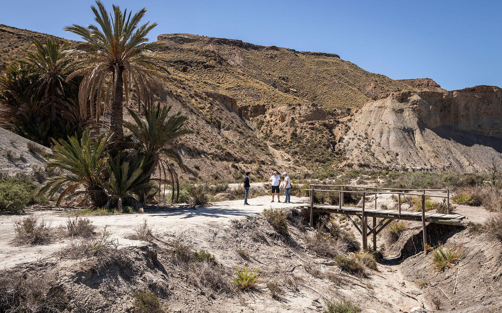 Lawrence of Arabia-oasen i Tabernas Almiera