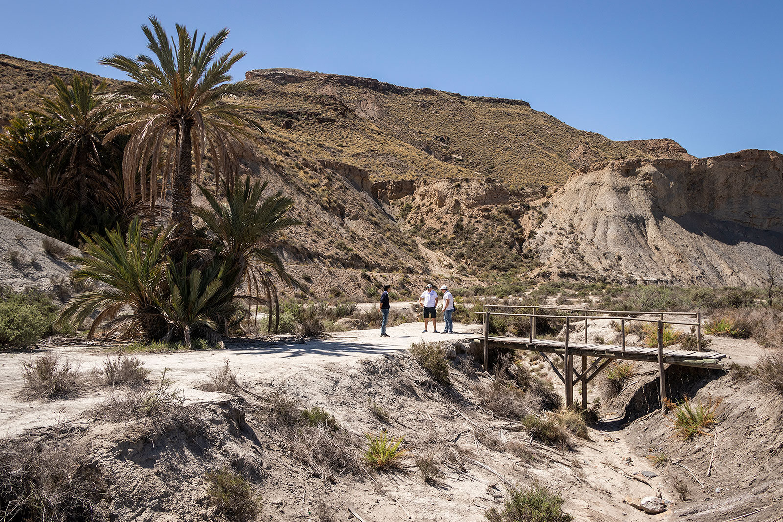 Lawrence of Arabia-oasen i Tabernas Almiera