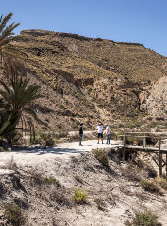 Lawrence of Arabia-oasen i Tabernas Almiera