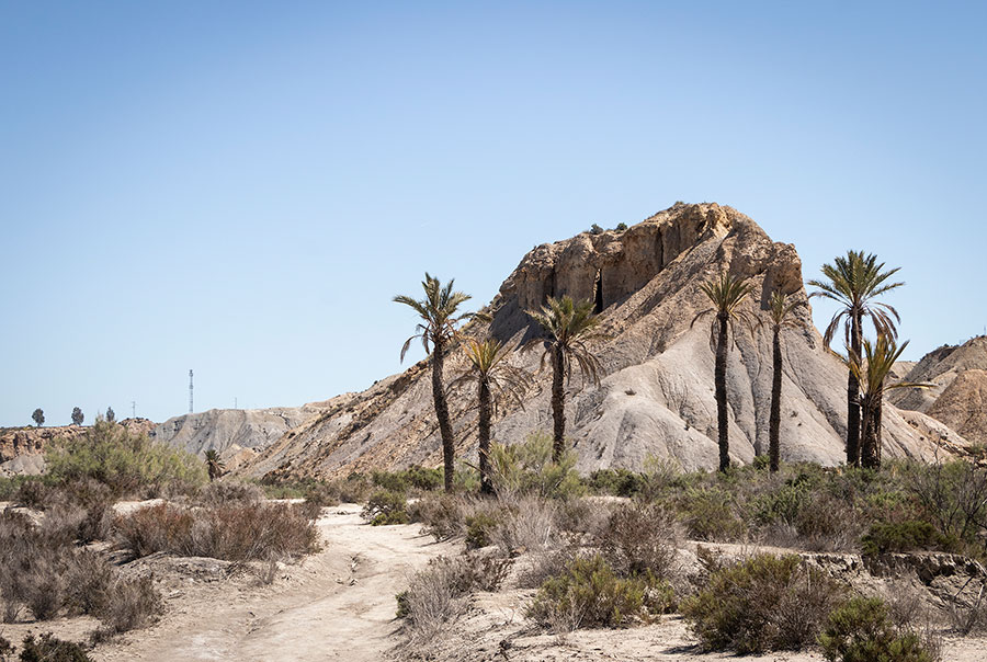 Sergio Leone shot most of his spaghetti westerns in the desert region of Almería.