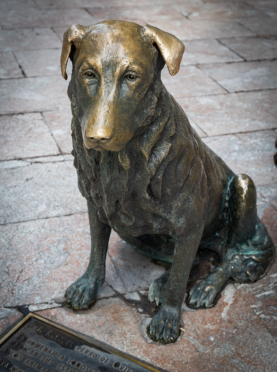 Skulpturen af Rufo er opført i Oviedo, fordi hunden var den mest elskede i byen.