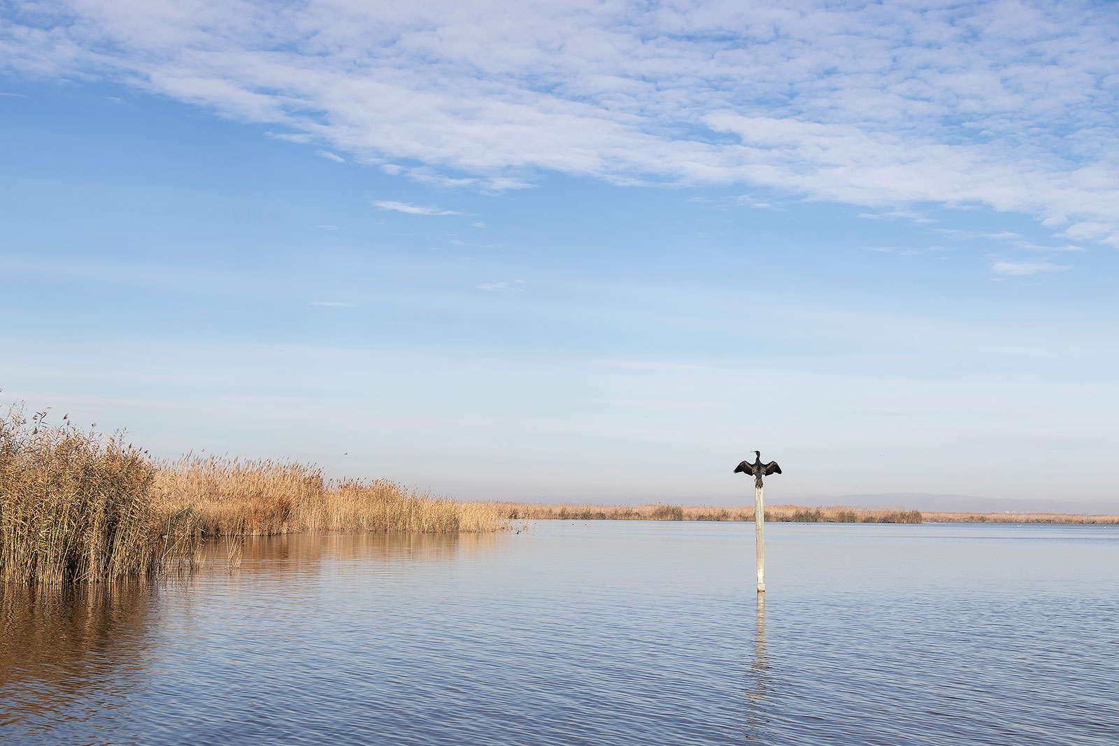 9 bæredygtige oplevelser i Valencia