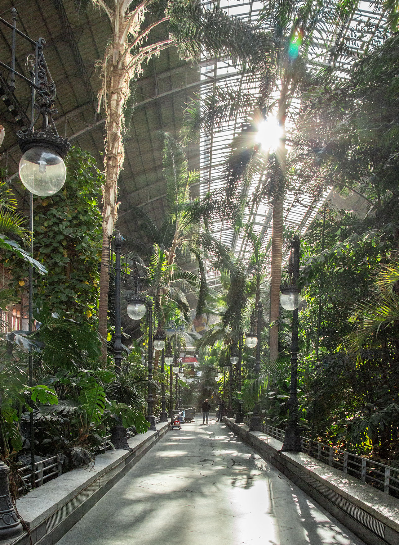 Atocha Station i Madrid er en alternativ og overraskende seværdighed i Madrid med en frodig botanisk have.