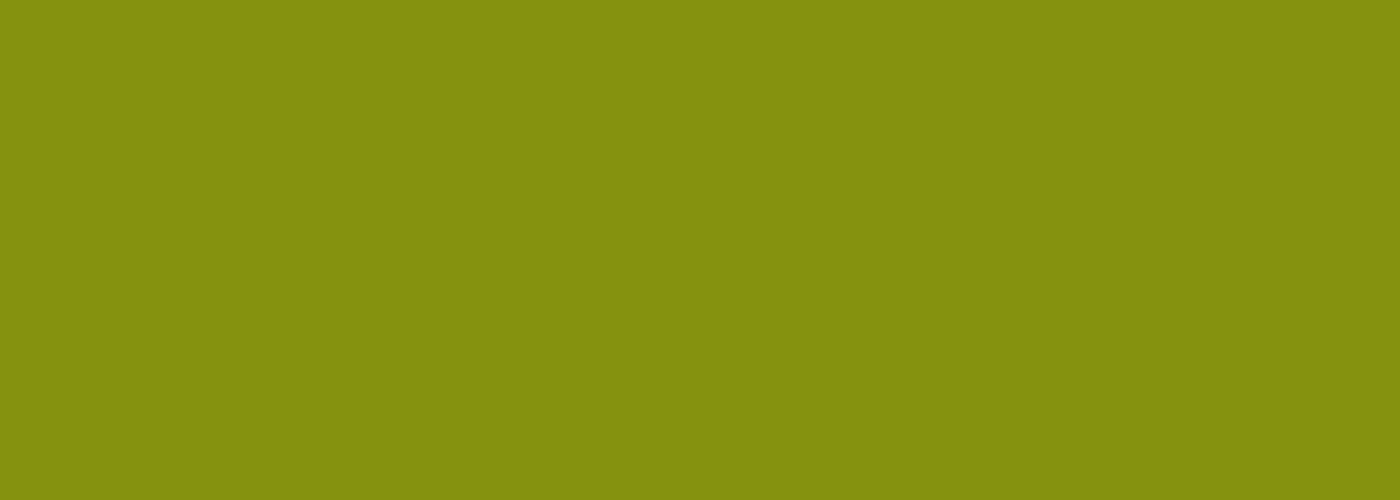 Banner_forside_1100x300_3