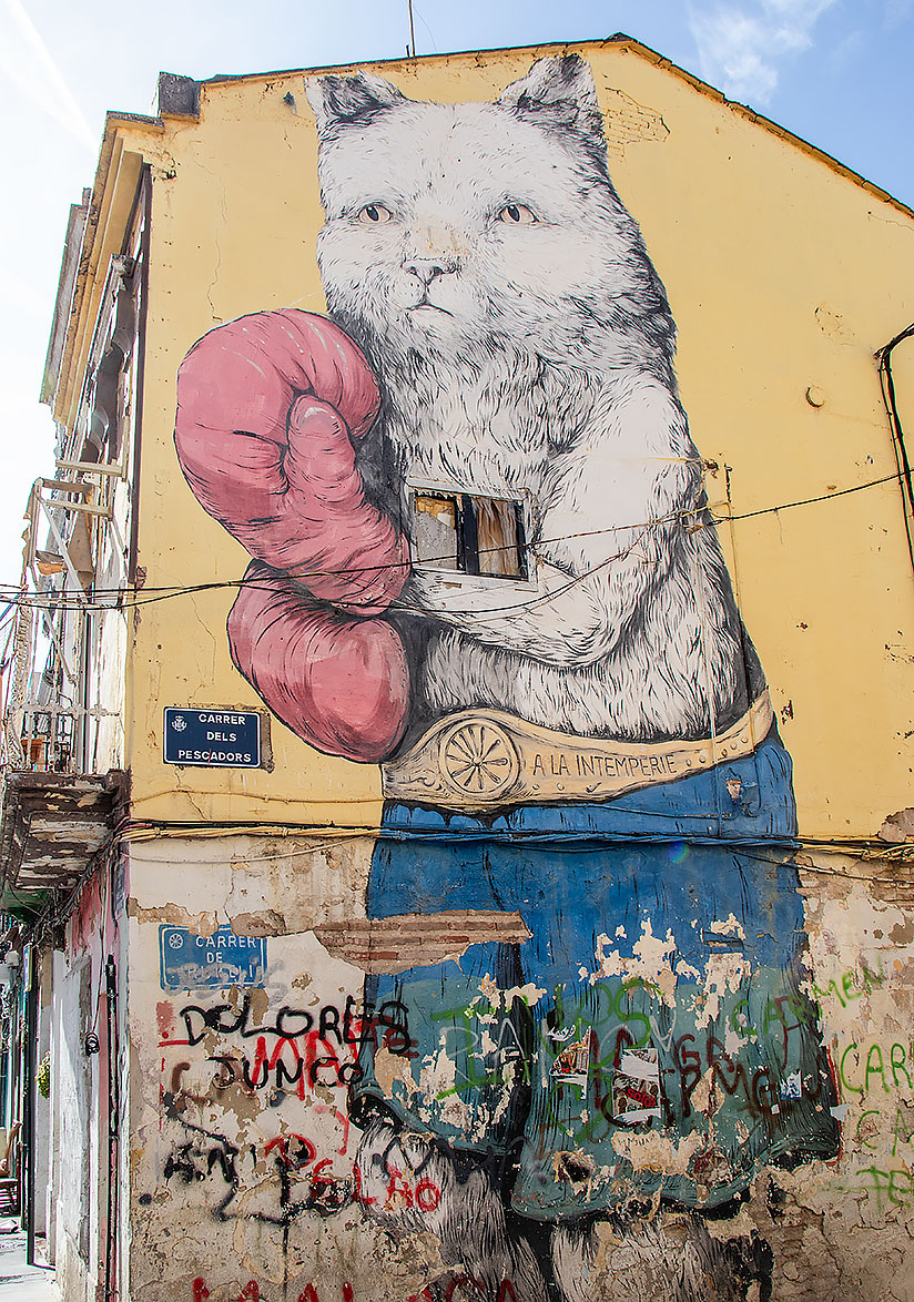 The El Cabanyal neighborhood is filled with exciting street art.