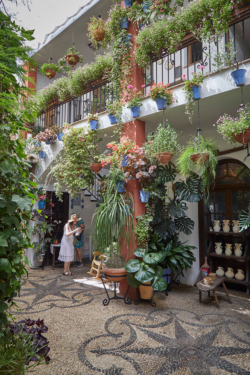 Córdoba er spækket med frodige gårdhaver. Foto Christian Grønne