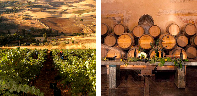 Besøg vingården Finca Descalzos Viejos ved Ronda.