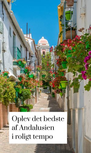 Oplev det bedste af Andalusien i roligt tempo