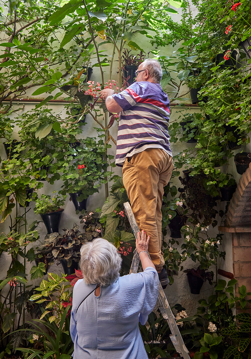 Se necesita mucho trabajo para cuidar y mantener los patios de Córdoba.