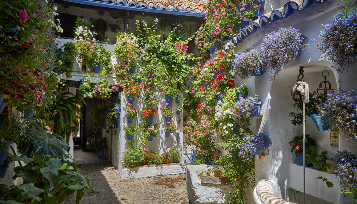 Entra en los exuberantes patios privados de Córdoba