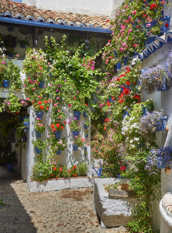 Entra en los exuberantes patios privados de Córdoba