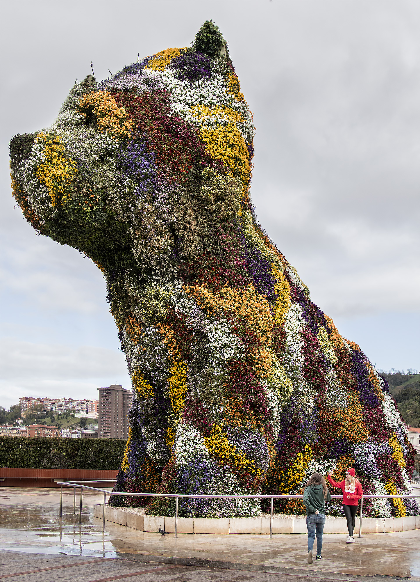 Jeff Koons' gigantiske blomsterhund "Puppy" vogter ved hovedindgangen til Guggenheim-museet i Bilbao.