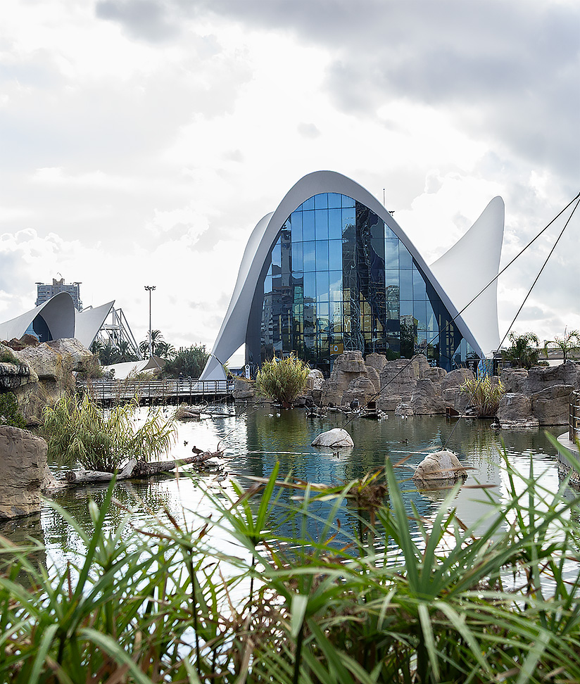 Oceanografic in Valencia is part of the City of Art and Science and the largest aquarium in Europe.