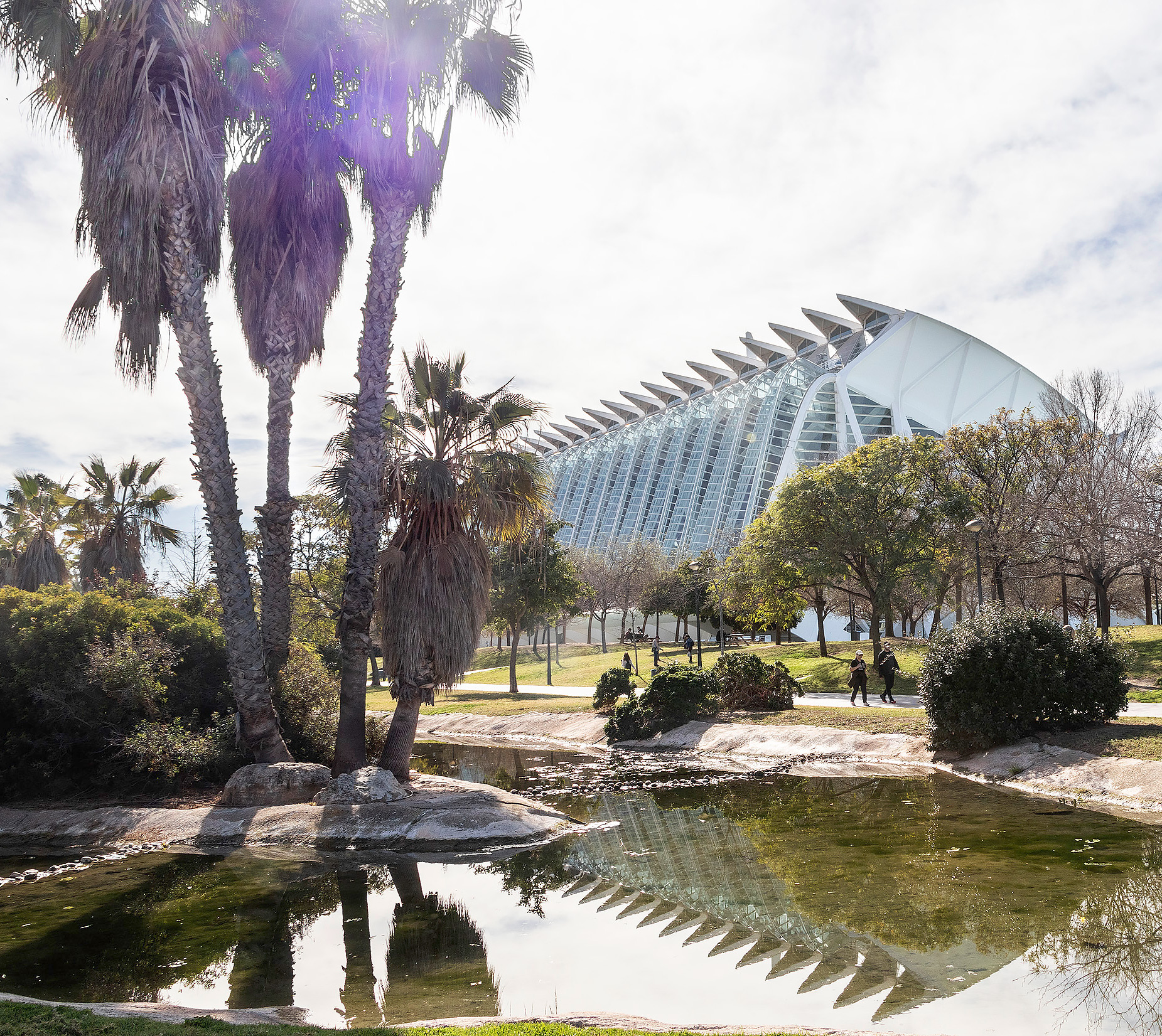 In the Turia Gardens in Valencia lies the famous City of Arts and Sciences.