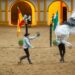 Espectáculo ecuestre en Jerez de la Frontera: Mira bailar a los caballos andaluces